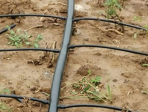 1 inch irrigation pipe